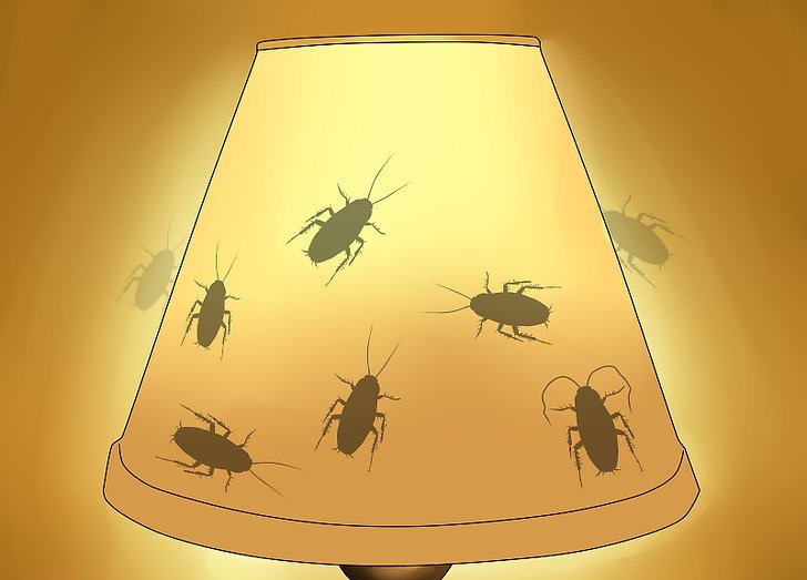 Кварцевая лампа от тараканов